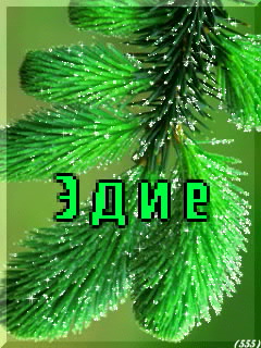 ��������: ����